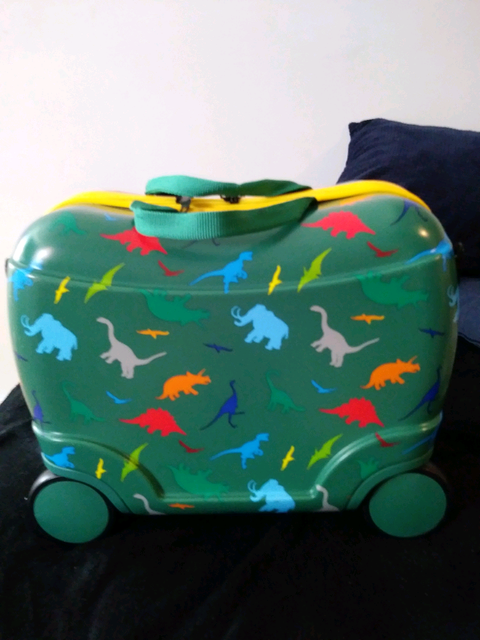 childrens pull along case